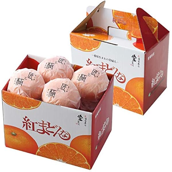 Amazon.co.jp: カネボウ カネボウ バルカン ヘアーリクイド（L